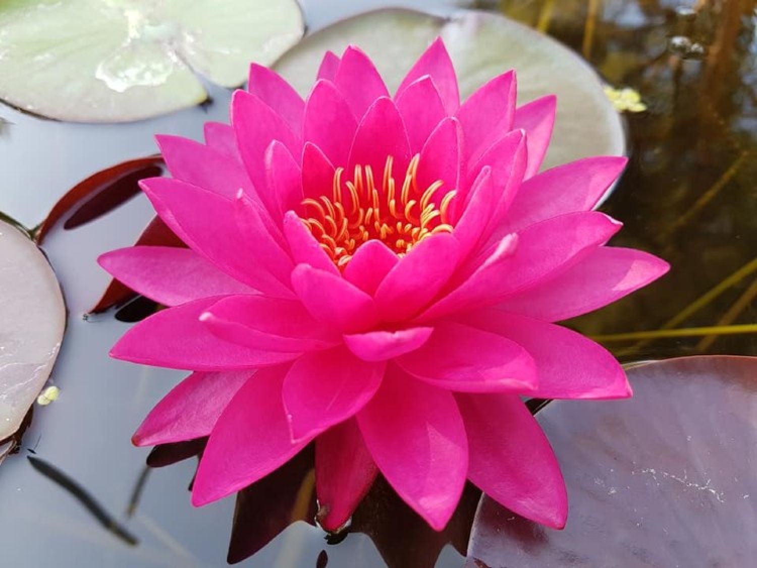 3001202403_81,2