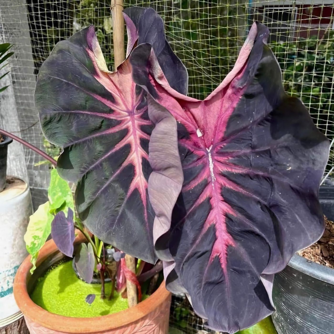 0112202502_kj9ug3ypewmrsxgaxysrpnd2dl9237hf