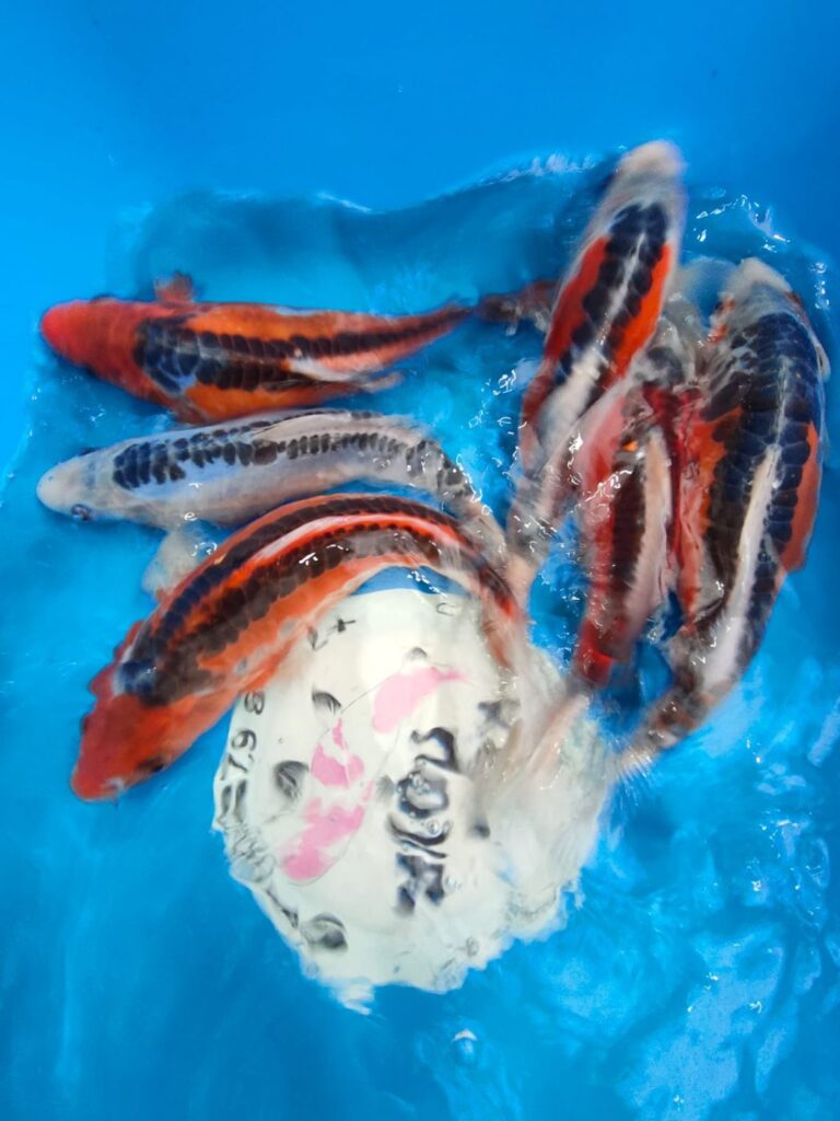 0702202404_f710e128-9d73-4003-a39e-18116e44661d