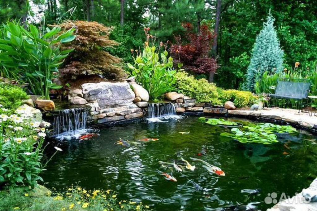 Консультация обустройства фильтрации в вашем водоёме-с выездом.