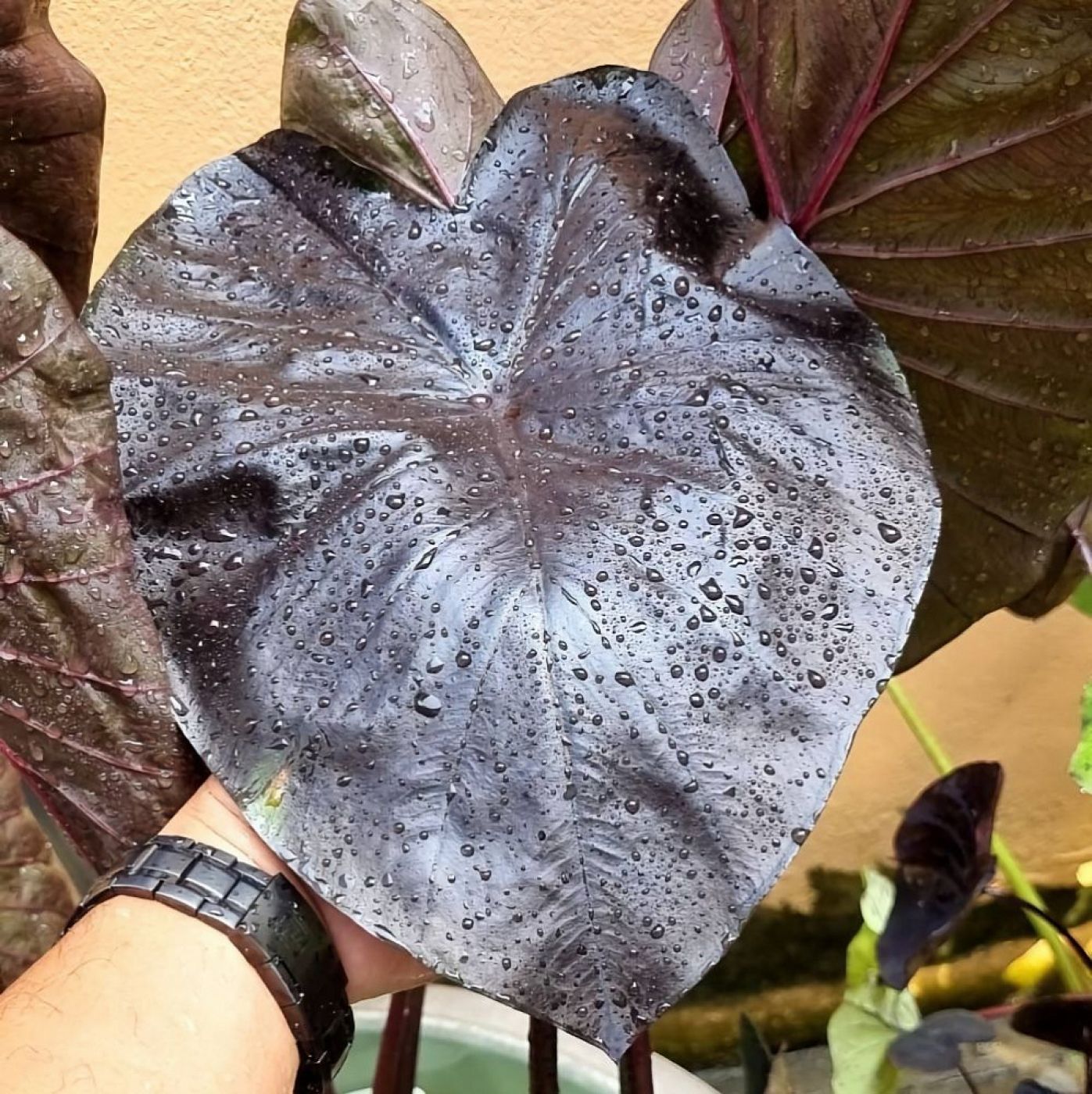 0112202502_mn2lsyxh70ajid4iee3cw1nnlezgajnu