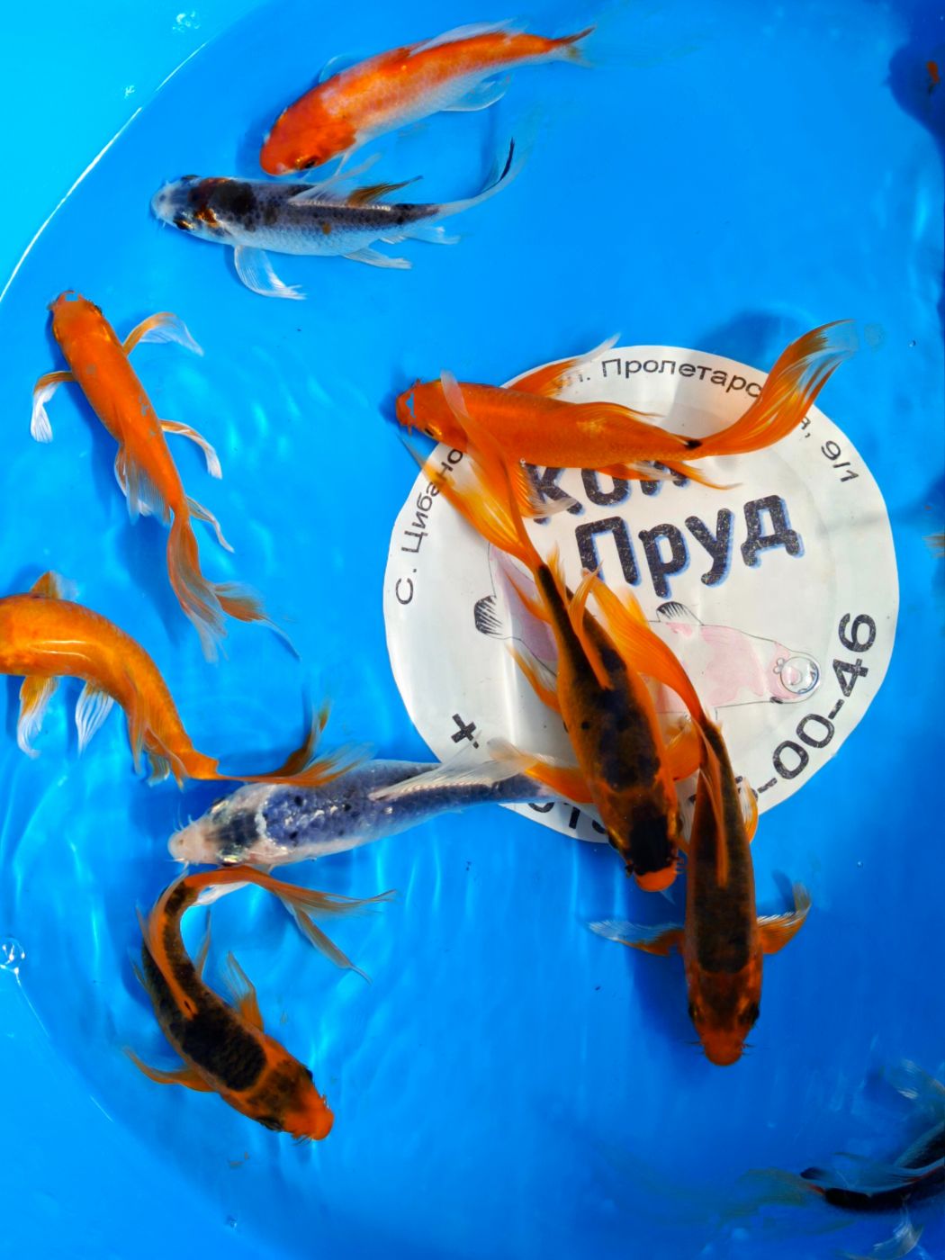 1205202503_IMG_20250510_094345_387@-625782987