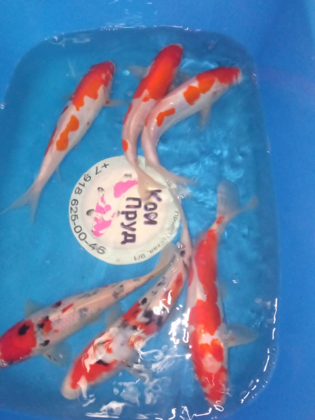 2801202401_IMG-20240128-WA0054